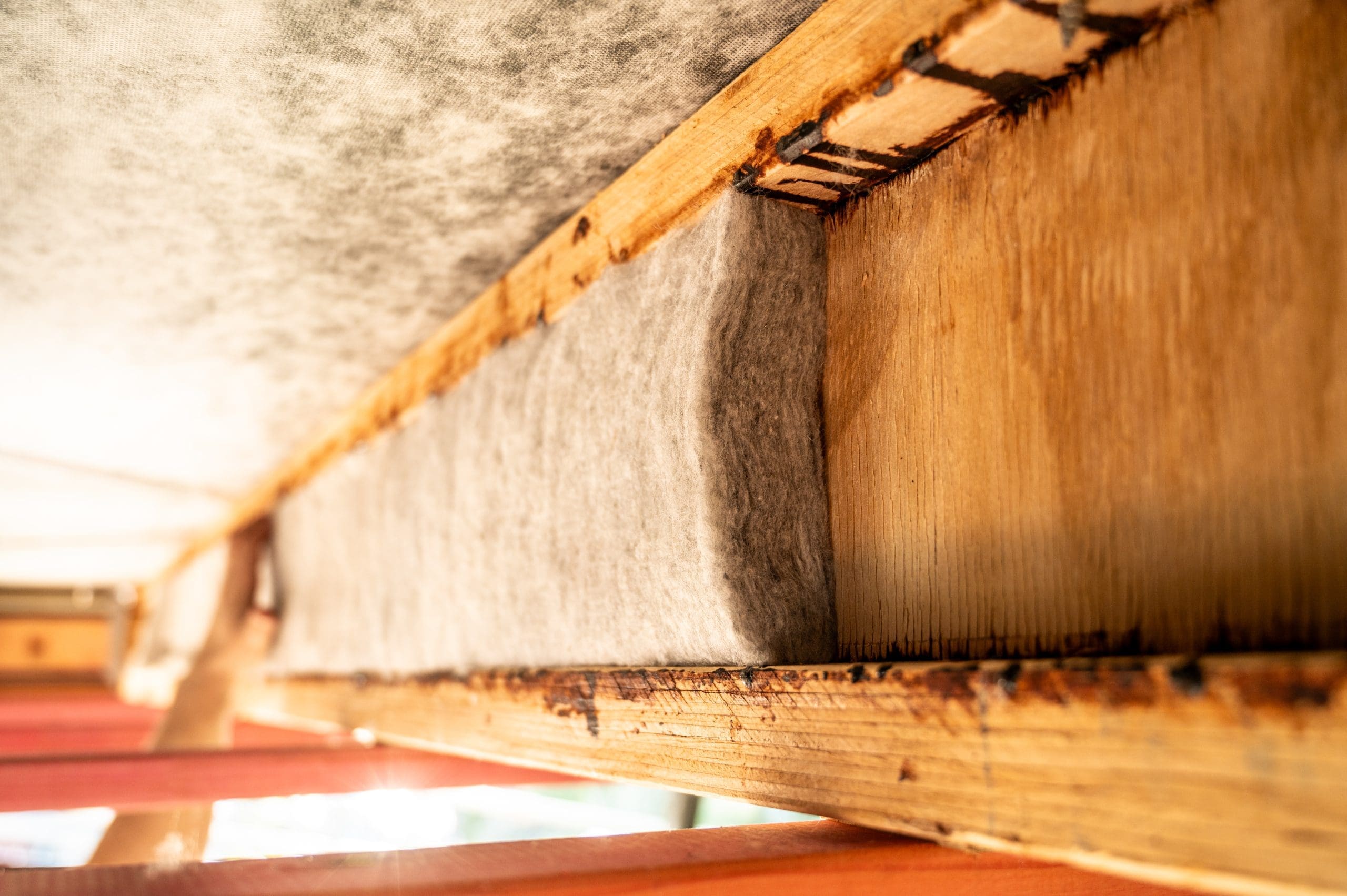 wool I-Beam fillet insulation