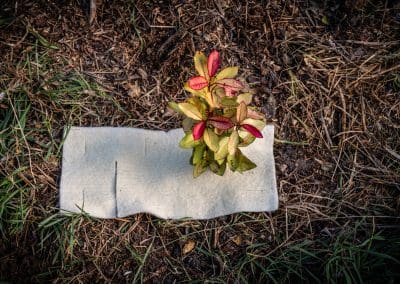 Terra Lana Dagmat CombiGuard biodegradable wool plantmat, how to install