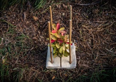 Terra Lana Dagmat CombiGuard biodegradable wool plantmat