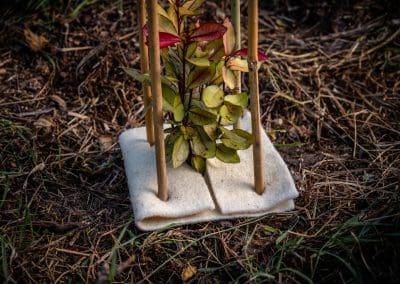 Terra Lana Dagmat CombiGuard wool plantmat